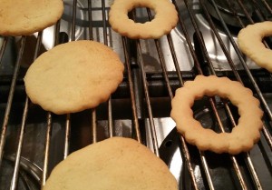 12620369_1179578152070845_1170293109_o