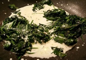 12656382_1187895894572404_948213946_o