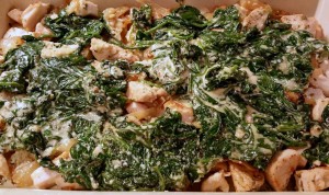 12695224_1187924294569564_1016410140_o