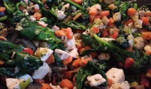 12776765_1205211692840824_2089837597_o