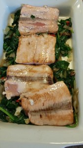 12833240_1207847162577277_1844245451_n