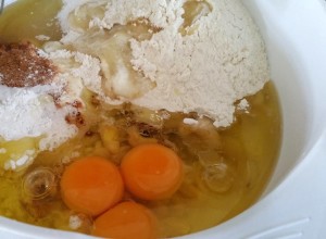 12873537_1214423971919596_1593475077_o