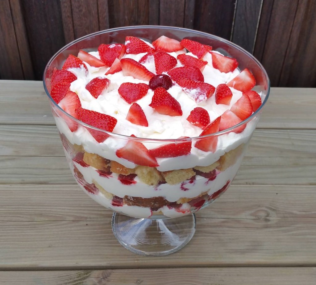 12980862_1237224072972919_1222686923_o