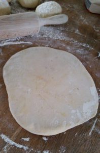 12992945_1239950482700278_1970043677_n