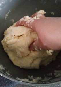 13020401_1239919786036681_321679953_n