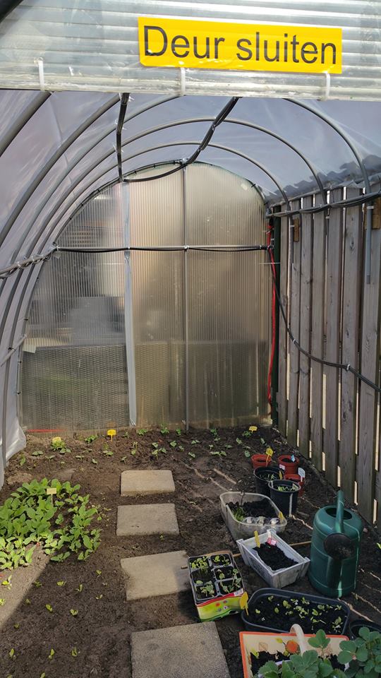 13023250_1244799282215398_1992665289_n