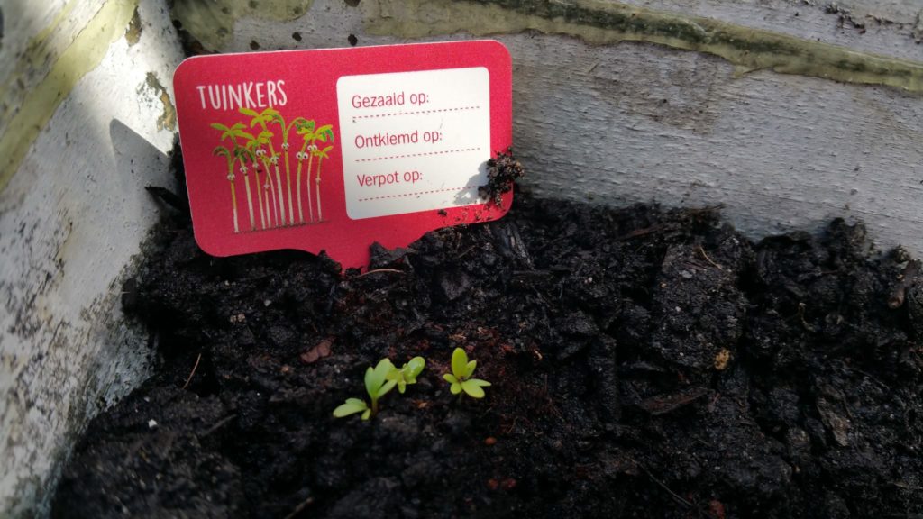 13035688_1244798738882119_1418531138_o