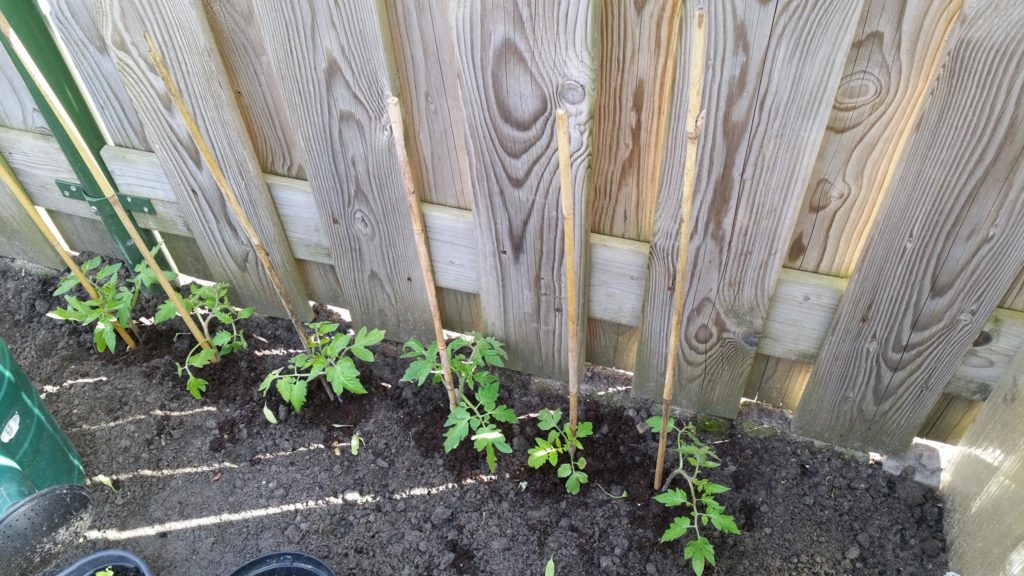 13063892_1244797988882194_1113969475_o