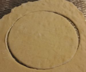 13064094_1245651942130132_1292640942_o