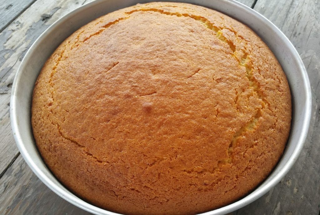 13148343_1253924004636259_1463158535_o