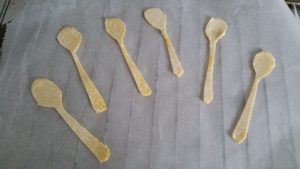 13230956_1262740293754630_1047815795_o