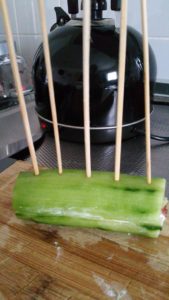 11418686_1244931665535493_227738950_n