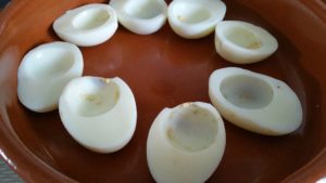 13035435_1244923632202963_1014039188_o