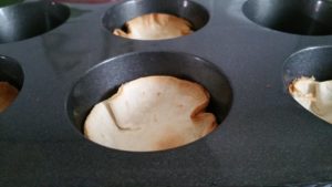 13233213_1264446726917320_1359227331_n