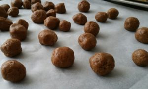 20161014_160202_resized