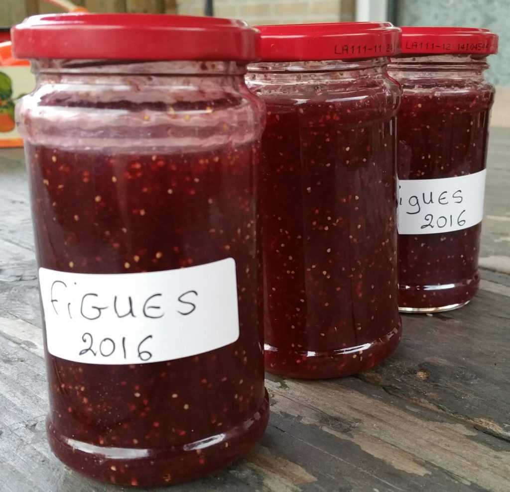 20161102_154040_resized